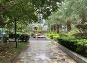 红树绿洲-环境绿化