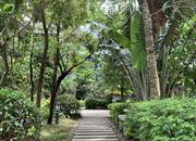 红树绿洲-环境绿化