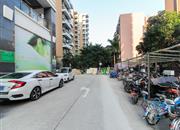 碧桐海苑-环境绿化