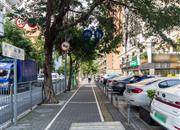 碧桐海苑-环境绿化