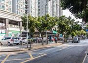 碧桐海苑-环境绿化