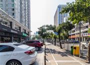 碧桐海苑-环境绿化