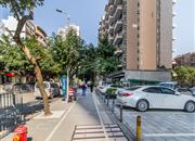 碧桐海苑-环境绿化