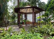 彩世界家园-环境绿化