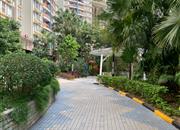 彩世界家园-环境绿化