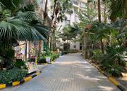 彩世界家园-环境绿化