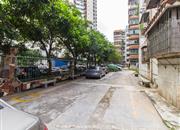 华丽园-环境绿化