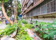 华丽园-环境绿化