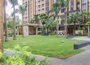 星都豪庭-环境绿化