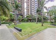 星都豪庭-环境绿化