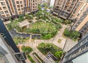 星都豪庭-俯瞰图