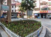 碧桐湾-环境绿化