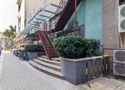 碧桐湾-环境绿化