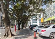 碧桐湾-环境绿化