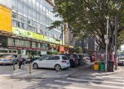 碧桐湾-环境绿化