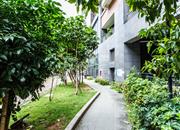 中森双子座公馆-环境绿化