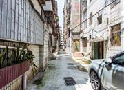 东森花园-环境绿化