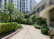 金海丽名居-环境绿化