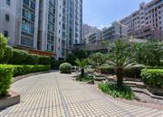 金海丽名居-环境绿化