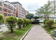 富民阁(柠檬时代)-环境绿化