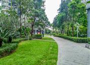 高发西岸花园（一期）-环境绿化