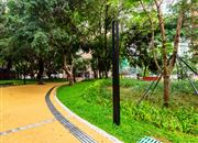 香丽大厦-环境绿化