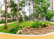 香丽大厦-环境绿化