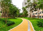 香丽大厦-环境绿化