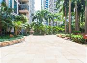 浅水湾花园-环境绿化