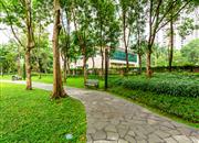 俊景豪园-环境绿化