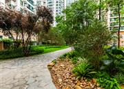 俊景豪园-环境绿化