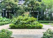 中信红树湾花城北区-环境绿化