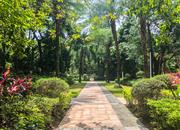 中信红树湾花城北区-环境绿化