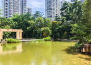 中信红树湾花城北区-环境绿化