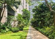 中信红树湾花城北区-环境绿化