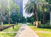 中信红树湾花城北区-环境绿化