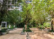 中信红树湾花城北区-基础设施