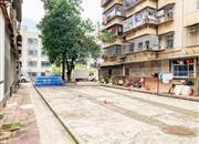 深宝公司宿舍-环境绿化