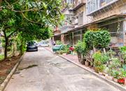 深宝公司宿舍-环境绿化