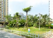 桃源村（三期）-环境绿化