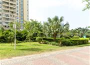 桃源村（三期）-环境绿化