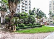 汇龙天下-环境绿化