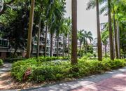 碧湖玫瑰园-环境绿化