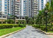 碧湖玫瑰园-环境绿化