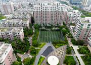 碧湖玫瑰园-俯瞰图