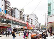 布吉广场-环境绿化