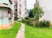 翠华花园-环境绿化