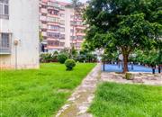 翠华花园-环境绿化