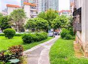 翠华花园-环境绿化