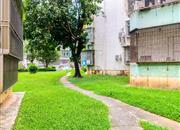 翠华花园-环境绿化